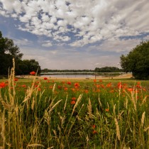 nature-arm-presduhem-7