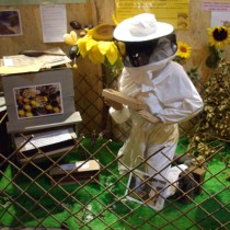 Pollen apiculteur